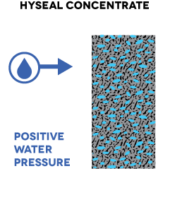 Hyseal-Concentrate-1