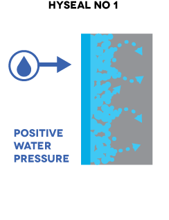 Hyseal-No1-A